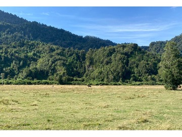 Venta / Parcela / Lago Ranco