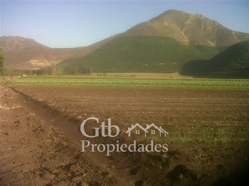 Parcela en venta en Ruta 5 km 87,5, Llaillay