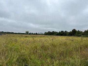 Terreno Agricola en venta en Miraflores, Longaví