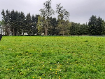 Venta / Terreno / Frutillar