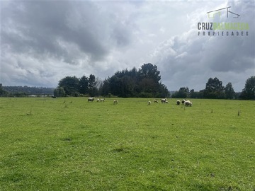 Parcela en venta en A solo 1 km de Frutillar, salida a Punta Larga, Frutillar