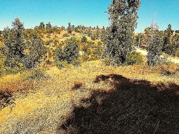 Parcela en venta en Limache, Limache