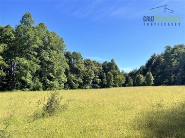 Terreno Agricola en venta en 17 hectáreas. Servidumbre al campo esta dentro del pueblo de Cañitas, Los Muermos