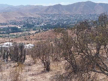 Parcela en venta en Avenida Linda Vista, Illapel