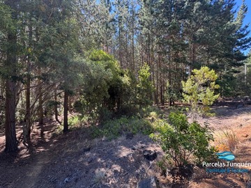 Parcela en venta en Parcela 1 el mirador de natura, Casablanca