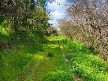 Parcela en venta en Ruta f 30 e carretera costera, Zapallar