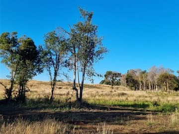 Parcela en venta en A sólo 4 minutos del pueblo curaco de velez, Curaco de Vélez