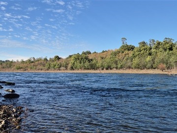 Parcela en venta en Sector Coipue Freire, Freire
