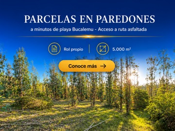 Parcela en venta en Panilongo Paredones, Paredones