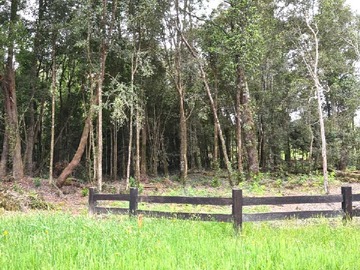 Terreno en venta en En Puerto Varas