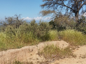 Parcela en venta en Parcela en Cajon del Lebu Limache
