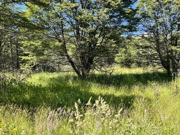 Sitio en venta en Hacienda Alta Vista, Coyhaique