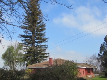 Terreno en venta en Parcela con pozo profundo y derechos de agua (169673), San Rafael - 4 dormitorios, 2 baños