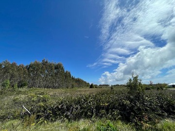 Terreno Agricola en venta en Huicha, Ancud