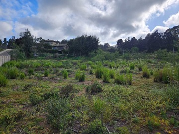 Terreno en venta en Terreno en Los Pinos de 1,500 m2 (84962), Viña del Mar