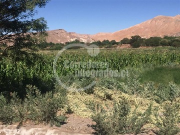 Negocios turísticos en venta en Ayllu de Quitor, San Pedro de Atacama