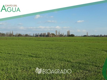 Terreno en venta en Parcelas en venta en Pinto (129083), Chillán