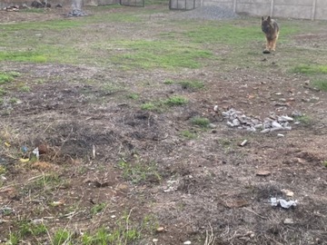 Sitio en arriendo mensual en A pasos de la plaza de chillán viejo, Chillán Viejo