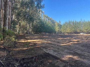 Venta / Terreno / Algarrobo