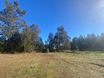 Terreno en venta en Curanipe, sector Las Canchas, 8.900m2 (174395), Pelluhue