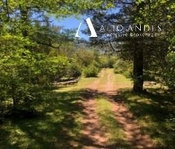 Venta / Parcela / Cochamó
