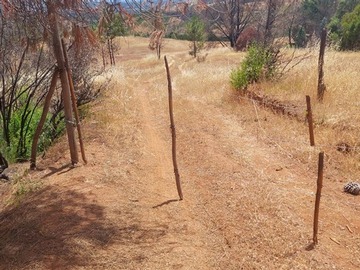 Sitio en venta en Fundo Los Boldos, Portezuelo