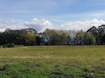 Terreno en venta en Con vista y potencial comercial (103534), Puerto Varas