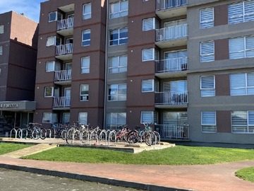Departamento en arriendo mensual en Cerca nuevo hospital Regional, Chillán - 2 dormitorios, 2 baños
