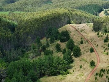 Terreno en venta en Parcelas salida norte de Temuco, bosque (168031), Temuco