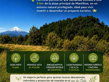 Venta / Parcela / Río Bueno