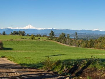 Terreno en venta en Excelentes parcelas, Laderas de a Rupanco (73349), Osorno