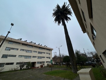 Departamento en venta en Amplio Depto 3dy2b en Venta a pasos del centro (176492), Chillán - 3 dormitorios, 1 baño