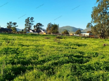 Parcela en venta en Parcela Urbanizada Pan de Azucar, Coquimbo