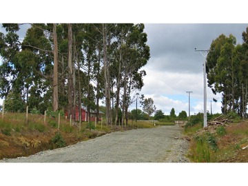 Venta / Terreno Agricola / Ancud