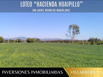 Parcela en venta en San javier. Región del maule, San Javier de Loncomilla