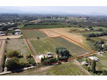 Terreno Agricola en venta en Camino el Tranque, Linares - 1 baño