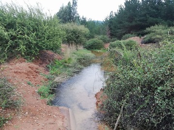 Terreno en venta en Talca Pencahue forestal y agricultura (116368), Pencahue