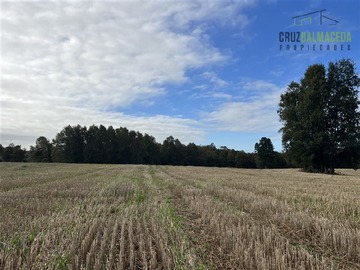Terreno Agricola en venta en 88 hectáreas Agrícolas, a 25 minutos de Purranque y Ruta 5 sur, Purranque