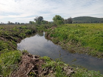 Arriendo Mensual / Terreno Agricola / Villa Alegre