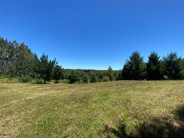 Parcela en venta en Camino Menetúe, sector Quilaco, Pucón