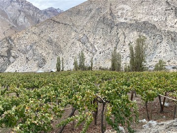 Parcela en venta en Paihuano valle del elqui, Paihuano