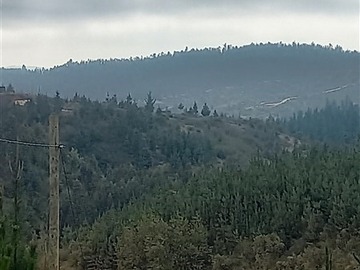 Sitio en venta en camino a llico ruta j-60, Hualañé