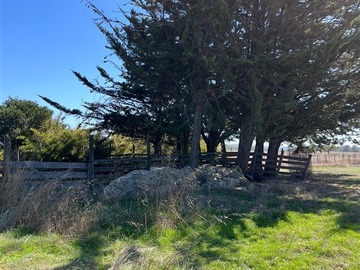 Parcela en venta en Pailimo, Marchigüe