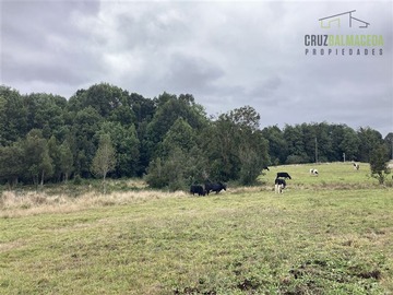 Parcela en venta en Puente Minte, camino a Ensenada km 6, Puerto Varas