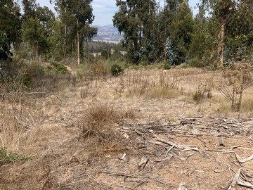 Sitio en venta en Sitio en Las Gaviotas, Concón, Concón