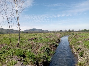 Terreno Agricola en venta en Vendo Campo en Villa Alegre con Acciones de Agua.