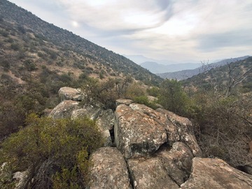 Terreno en venta en Parcela de 10.000 M en Curacaví Naturaleza, Agua y Conectividad