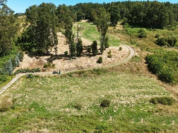 Terreno en venta en Parcela en el Lago Ranco (83473), Lago Ranco