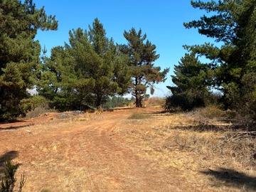 Terreno en venta en Venta Terreno 1 Hectárea Viña del Mar Zona Industrial Parcela 843