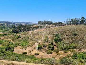 Venta / Terreno / Algarrobo